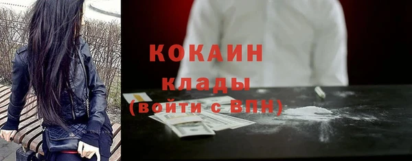 гидра Абаза