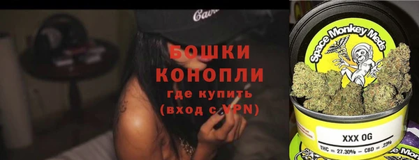 гидра Абаза