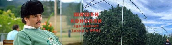 гидра Абаза