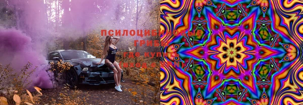 гидра Абаза