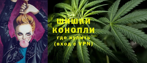 гидра Абаза