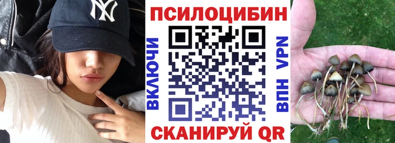 где можно купить Княгинино Псилоцибиновые грибы мухоморы